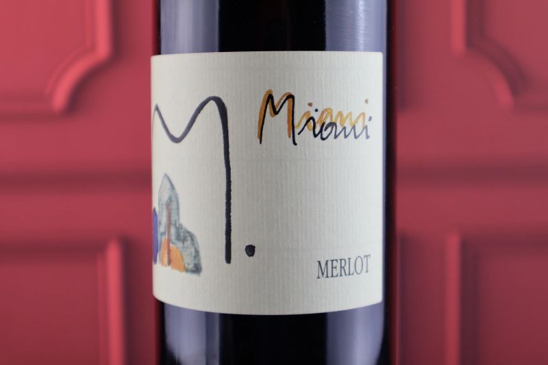 



Merlot Miani  - Auction Smartwine 2.0 | Spring Classics - Pandolfini Casa d'Aste