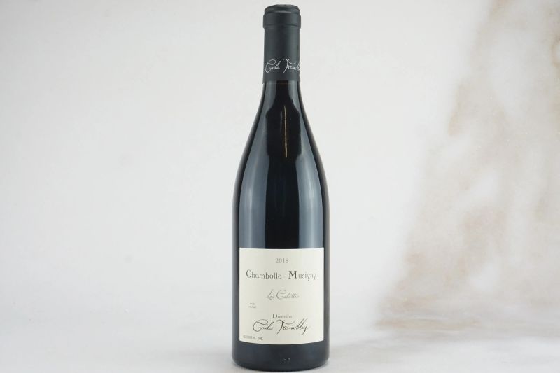 Chambolle Musigny Les Cabottes Domaine C&eacute;cile Tremblay 2018  - Auction L'Armonia del Tempo | FINEST AND RAREST WINES - Pandolfini Casa d'Aste