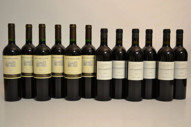 Selezione Sud America  - Asta Una Prestigiosa Selezione di Vini e Distillati da Collezioni Private - Pandolfini Casa d'Aste