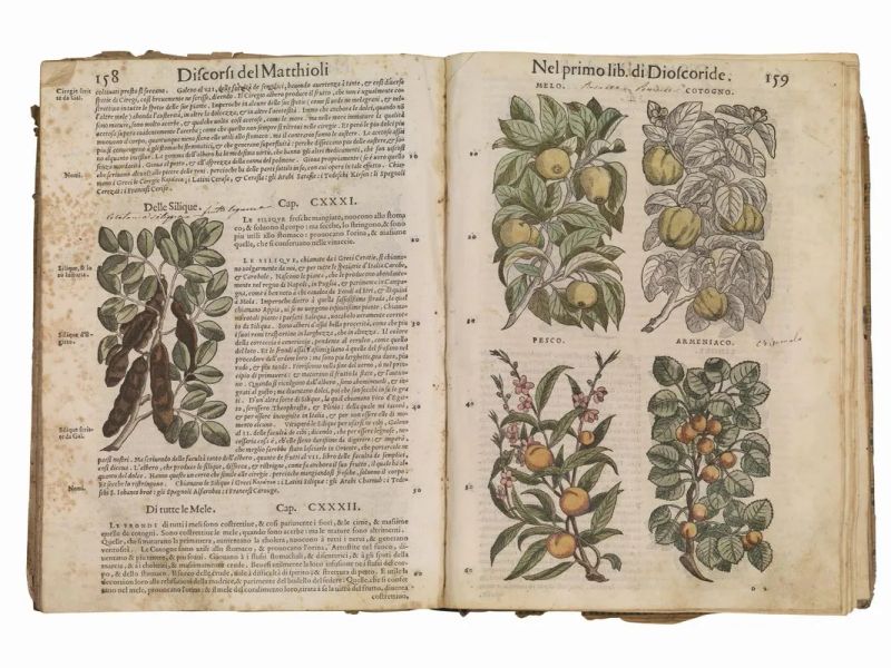 (Botanica – Illustrati 500) MATTIOLI, Pietro Andrea. I discorsi di M. Pietro And. Matthioli sanese […] ne i sei libri di Pedacio Dioscoride Anazarbeo della materia medicinale. I quai discorsi in diversi luoghi dall'auttore medesimo sono stati accresciuti di varie cose, con molte figure di piante, & d'animali nuovamente aggiunte. In Venetia, appresso Vincenzo Valgrisi, 1559.  - Asta Libri, manoscritti e autografi - Pandolfini Casa d'Aste