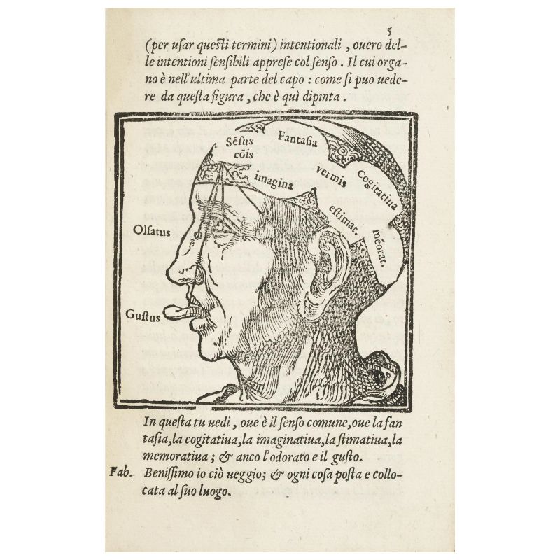 Dolce, Lodovico. Dialogo nel quale si tratta del modo di accrescere e conservare la memoria. Venezia, Sessa, 1562.  - Asta LIBRI, MANOSCRITTI, AUTOGRAFI E STAMPE - Pandolfini Casa d'Aste