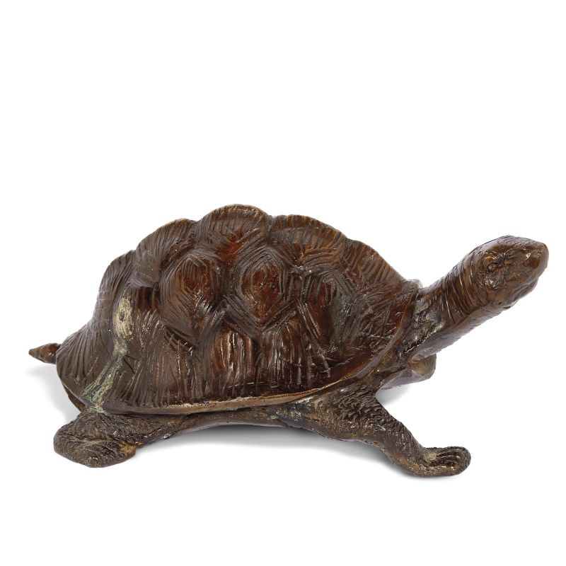 A VENETIAN SCHOOL TURTLE, 18TH CENTURY  - Auction GIOVANNI PRATESI | HOMO FABER PART II - Pandolfini Casa d'Aste