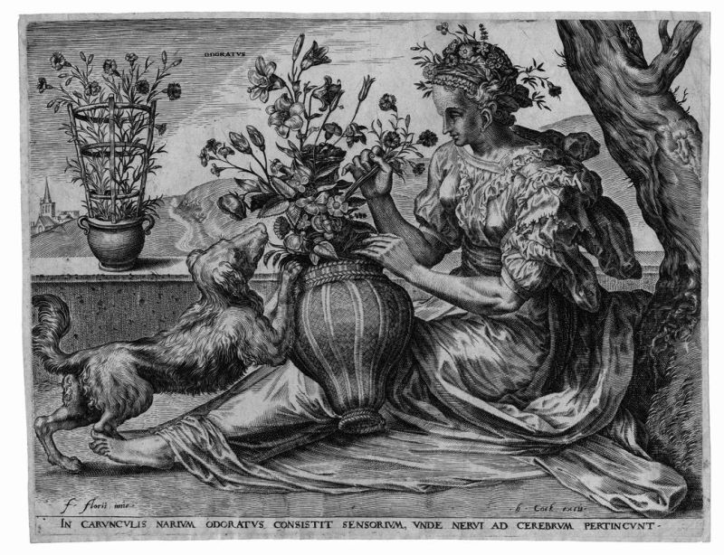 Cort, Cornelis  - Asta Stampe e disegni antichi e moderni-Libri Antichi - Pandolfini Casa d'Aste