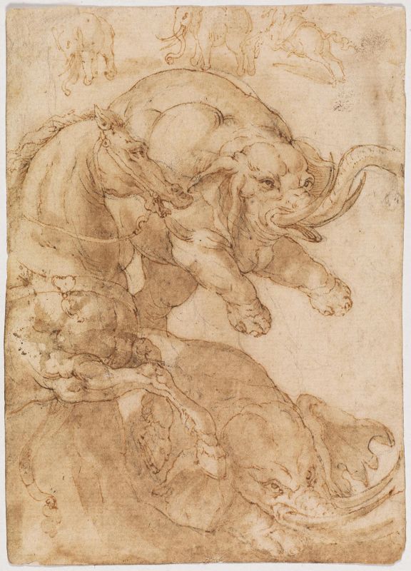      Scuola dell'Italia centrale, sec. XVI   - Auction Works on paper: 15th to 19th century drawings, paintings and prints - Pandolfini Casa d'Aste