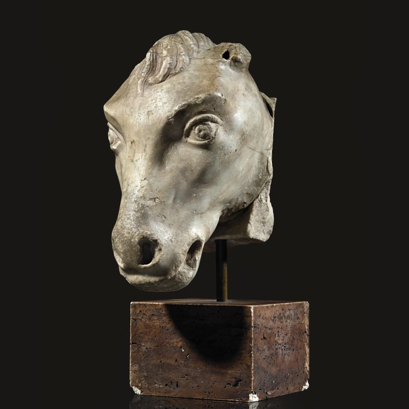 



TESTA DI EQUIDE  - Auction ANTIQUITIES - Pandolfini Casa d'Aste