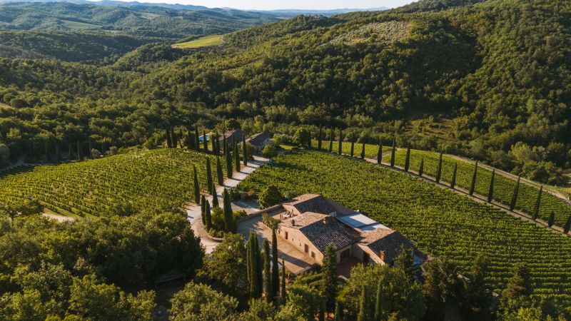 Brancaia, Radda in Chianti (SI)  - Auction The Fine Art of Wine: A Grand Tour - Pandolfini for Friends of Florence - Pandolfini Casa d'Aste