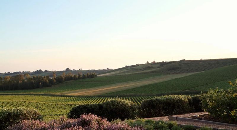 PLANETA SICILIA CASA PANITTERI - Ulmo Sambuca di Sicilia (Agrigento)  - Asta ASTA A TEMPO | AIRC - Pandolfini Casa d'Aste