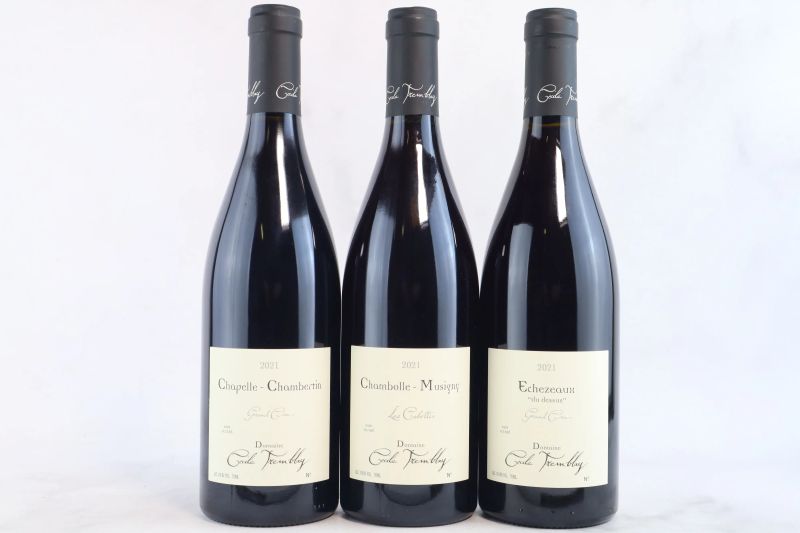 



Selezione Domaine C&eacute;cile Tremblay 2021  - Asta La Joie du Vin - Vini Pregiati e da Collezione - Pandolfini Casa d'Aste