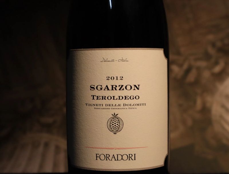 Teroldego Sgarzon Foradori 2012  - Auction Smartwine 2.0 | Spring Classics - Pandolfini Casa d'Aste