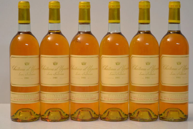 Chateau d'Yquem 1981  - Auction the excellence of italian and international wines from selected cellars - Pandolfini Casa d'Aste