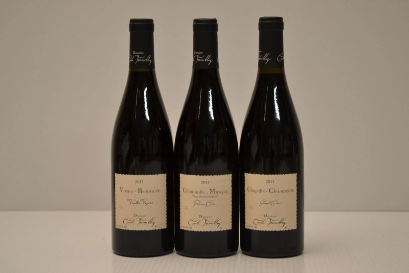 Selezione Domaine Cecile Tremblay 2011  - Asta Una Straordinaria Selezione di Vini Pregiati da Cantine Italiane - Pandolfini Casa d'Aste