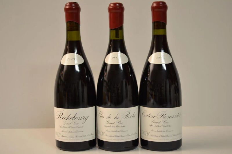 Selezione Domaine Leroy 2009                                                - Auction finest and rarest wines - Pandolfini Casa d'Aste