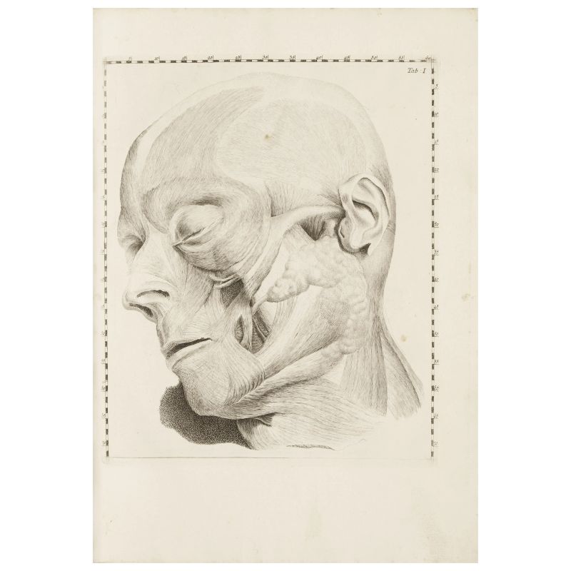 Handsome copy of this magnificent first edition anatomical treatise  - Auction BOOKS, MANUSCRIPTS AND AUTOGRAPHS - Pandolfini Casa d'Aste