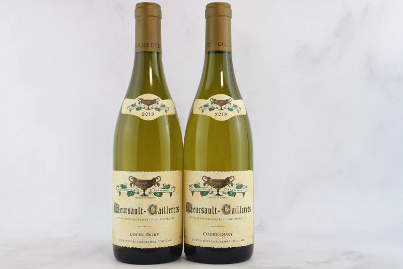 



Meursault-Caillerets Domaine J.-F. Coche Dury 2018  - Asta La Joie du Vin - Vini Pregiati e da Collezione - Pandolfini Casa d'Aste