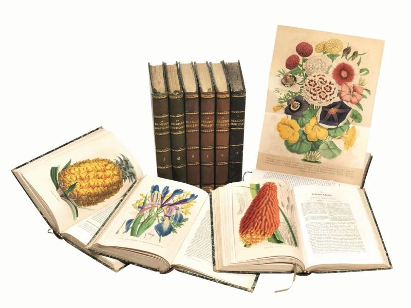 (Botanica &ndash; Illustrati 800) MORREN, Charles e &Eacute;douard. La Belgique  - Asta Disegni e stampe dal XVI al XX secolo - Libri e Autografi - Pandolfini Casa d'Aste