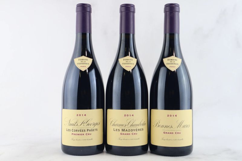 



Selezione Domaine de la Vougeraie 2014  - Asta La Joie du Vin - Vini Pregiati e da Collezione - Pandolfini Casa d'Aste