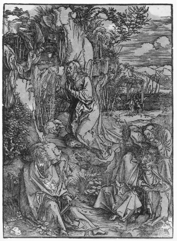      Albrecht Dürer   - Asta Opere su carta: disegni, dipinti e stampe dal secolo XV al XIX - Pandolfini Casa d'Aste