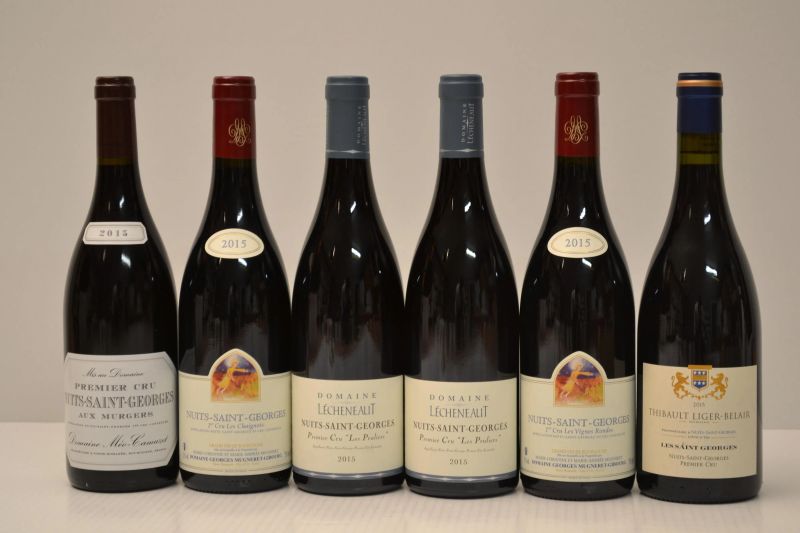Selezione Borgogna Premier Cru Nuits-Saint-Georges 2015  - Auction An Extraordinary Selection of Finest Wines from Italian Cellars - Pandolfini Casa d'Aste