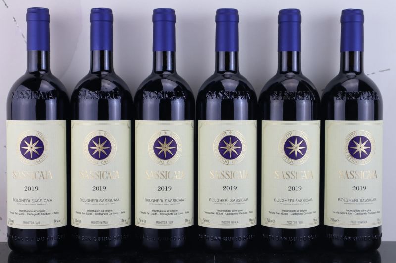 



Sassicaia Tenuta San Guido 2019  - Auction FORMA - Fine and Rare Wine - Pandolfini Casa d'Aste