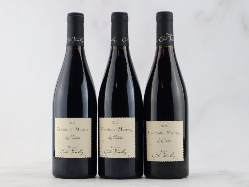 



Chambolle-Musigny Les Cabottes Domaine C&eacute;cile Tremblay   - Asta ALCHIMIA - Vini Pregiati e da Collezione - Pandolfini Casa d'Aste