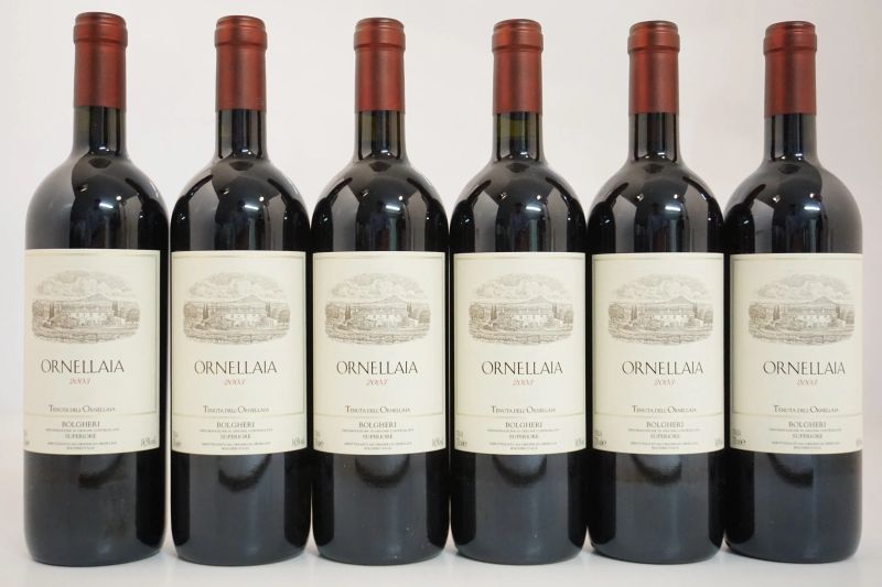      Ornellaia 2003   - Asta Vini Pregiati e Distillati da Collezione - Pandolfini Casa d'Aste