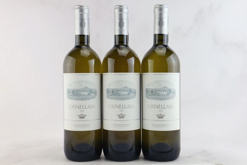 



Ornellaia Bianco 2019  - Asta La Joie du Vin - Vini Pregiati e da Collezione - Pandolfini Casa d'Aste