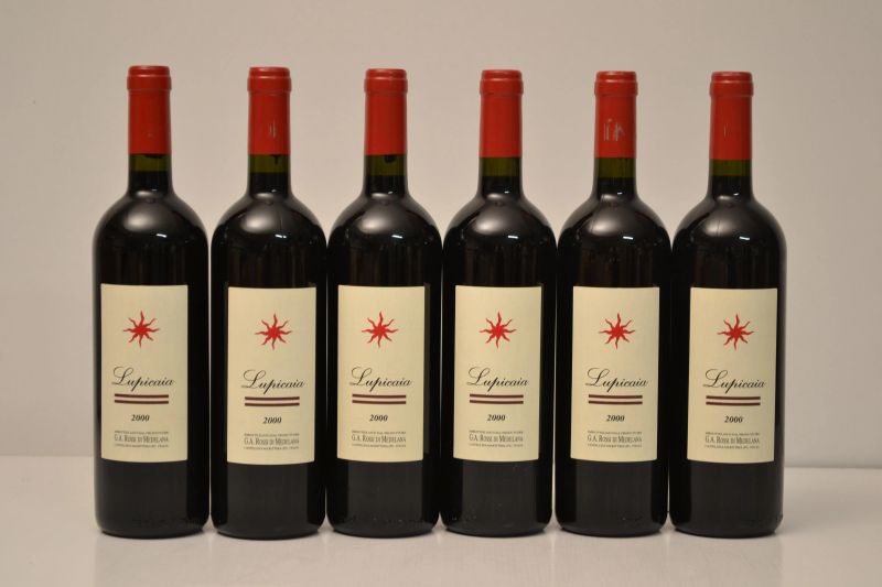 Lupicaia Castello del Terriccio 2000  - Auction An Extraordinary Selection of Finest Wines from Italian Cellars - Pandolfini Casa d'Aste