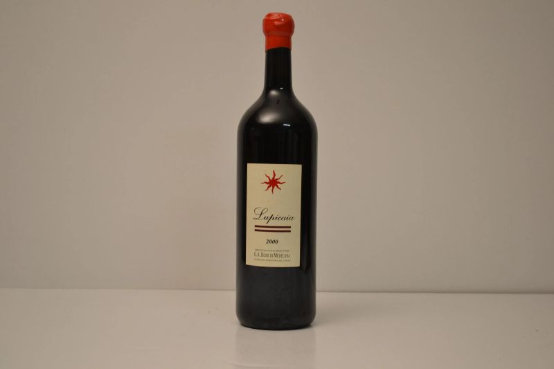 Lupicaia Castello del Terriccio 2000  - Auction An Extraordinary Selection of Finest Wines from Italian Cellars - Pandolfini Casa d'Aste