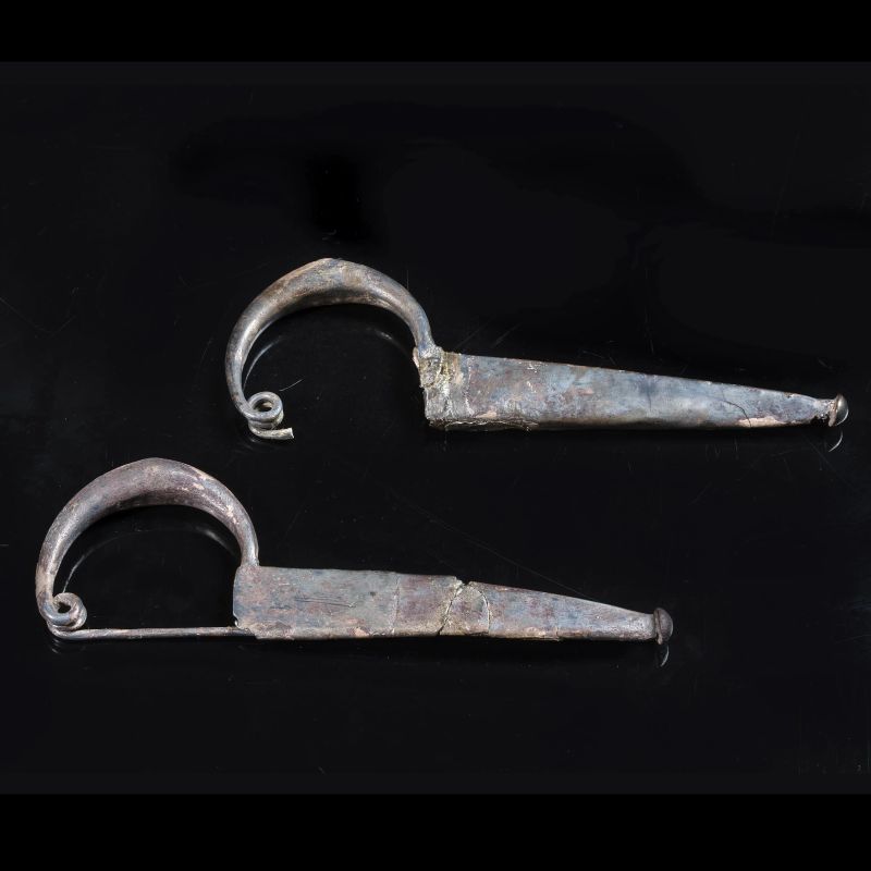 



COPPIA DI GRANDI FIBULE  - Auction ANTIQUITIES - Pandolfini Casa d'Aste