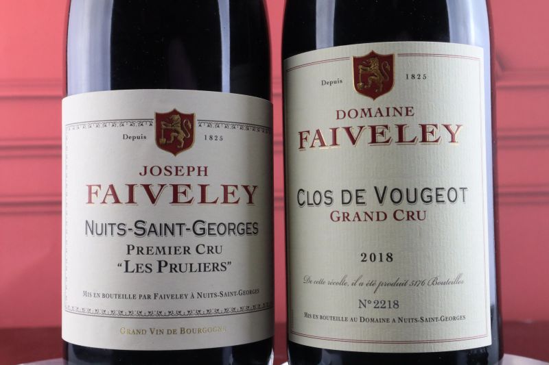 Selezione Domaine Faiveley 2018  - Asta Smartwine 2.0 | Spring Classics - Pandolfini Casa d'Aste