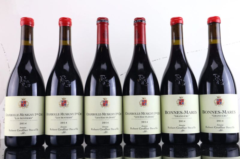 



Selezione Domaine Groffier 2014  - Asta FORMA - Vini Pregiati e da Collezione - Pandolfini Casa d'Aste