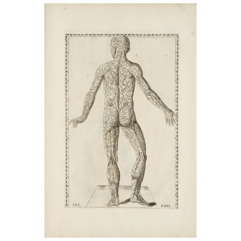 Edition increased by 26 plates compared to that of 1769  - Auction BOOKS, MANUSCRIPTS AND AUTOGRAPHS - Pandolfini Casa d'Aste