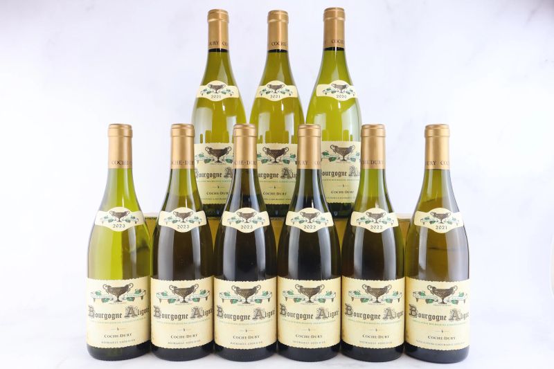 



Aligote Domaine J.-F. Coche Dury  - Asta La Joie du Vin - Vini Pregiati e da Collezione - Pandolfini Casa d'Aste