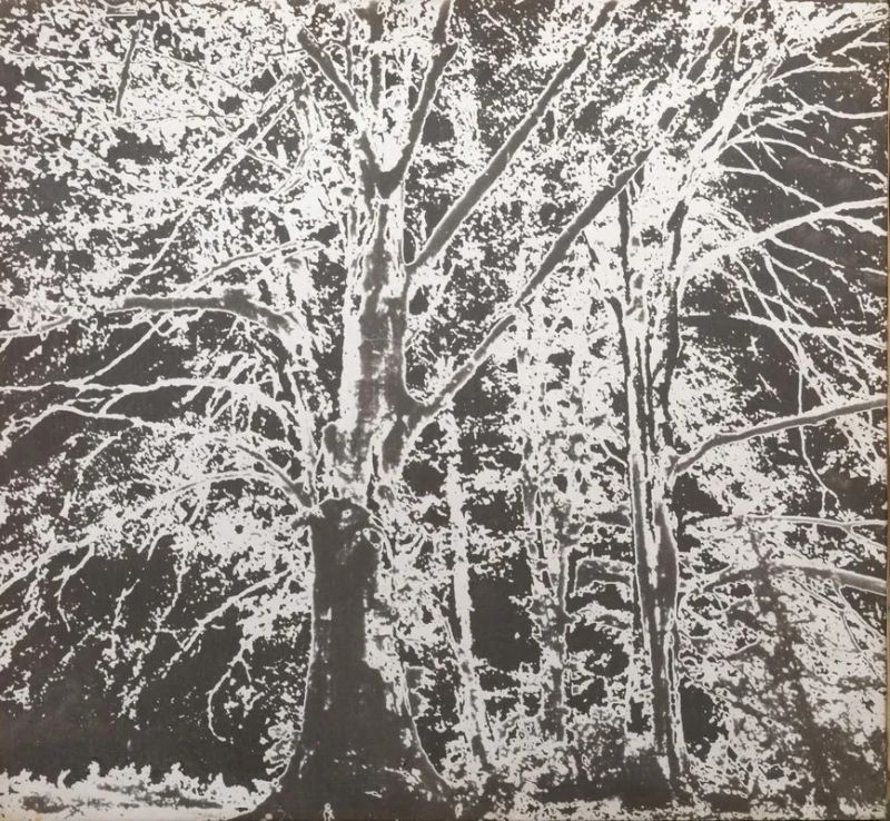   Tano Festa   - Auction 20th Century Decorative Art - Pandolfini Casa d'Aste