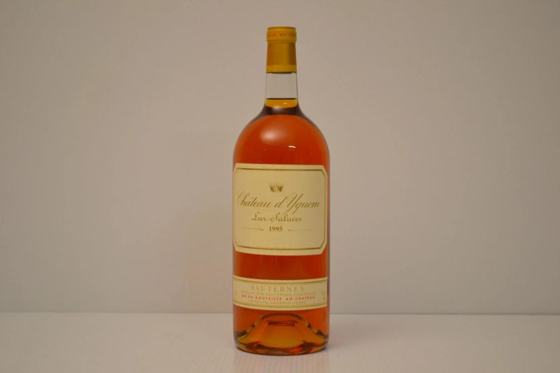 Chateau d'Yquem 1995  - Auction An Extraordinary Selection of Finest Wines from Italian Cellars - Pandolfini Casa d'Aste