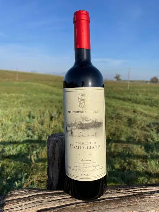 TENUTA DI CAMUGLIANO Ponsacco (Pisa)   - Auction AIRC - Pandolfini Casa d'Aste