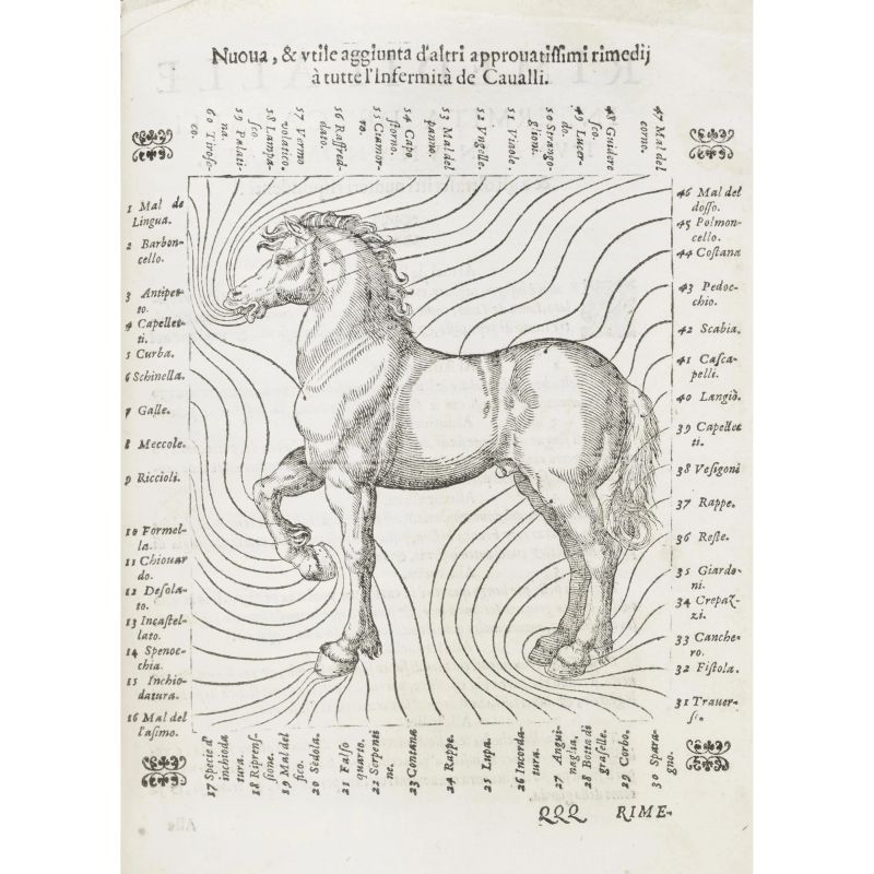 Caracciolo, Pasquale. La gloria del cavallo. Venezia, Moretti, 1589.  - Auction BOOKS, MANUSCRIPTS AND AUTOGRAPHS - Pandolfini Casa d'Aste