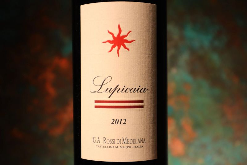 



Lupicaia Castello del Terriccio 2012  - Asta Smartwine 2.0 | Christmas Edition - Pandolfini Casa d'Aste