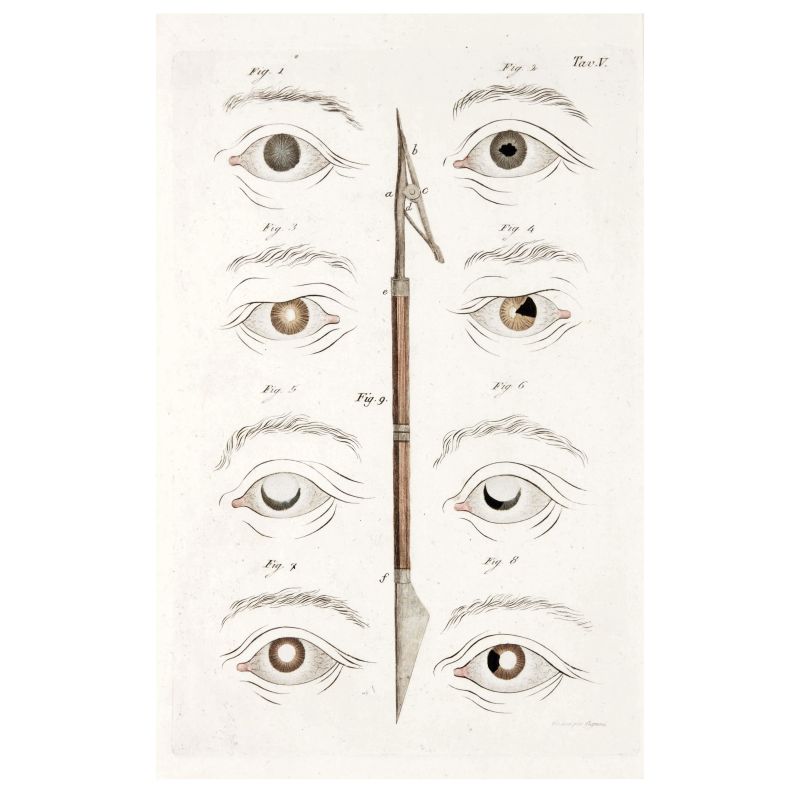 Assalini, Paolo. Ricerche sulle pupille artificiali. Milano, Stamperia Reale Milano, 1811.  - Asta LIBRI, MANOSCRITTI, AUTOGRAFI E STAMPE - Pandolfini Casa d'Aste