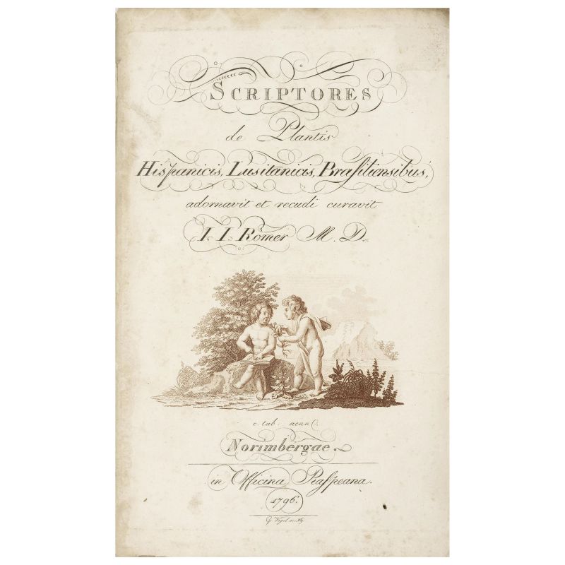 Esemplare in barbe di rara raccolta di quattro opere su piante spagnole, portoghesi e brasiliane  - Auction BOOKS, MANUSCRIPTS AND AUTOGRAPHS - Pandolfini Casa d'Aste