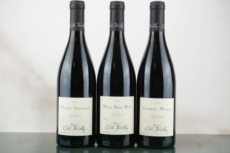 Selezione Domaine C&eacute;cile Tremblay 2016  - Auction LA RAFFINATEZZA DELLA COMPLESSITA' - Fine and Rare Wine - Pandolfini Casa d'Aste