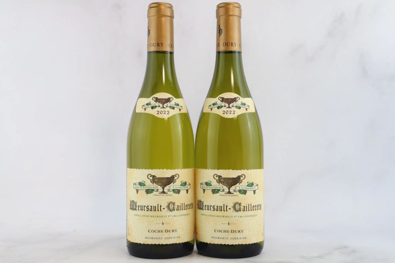 



Meursault-Caillerets Domaine J.-F. Coche Dury 2022  - Auction La Joie du Vin - Fine and Rare Wine - Pandolfini Casa d'Aste