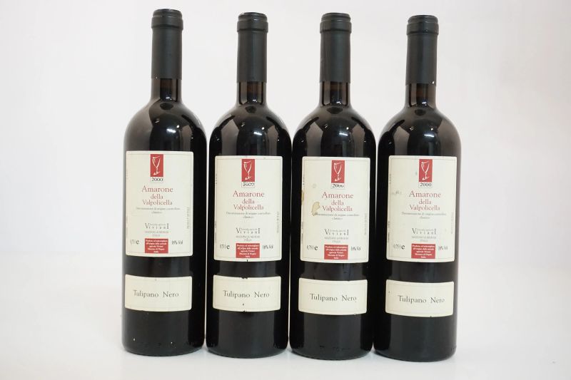      Amarone della Valpolicella Classico Tulipano Nero Viviani 2000   - Asta ASTA A TEMPO | Smart Wine & Spirits - Pandolfini Casa d'Aste