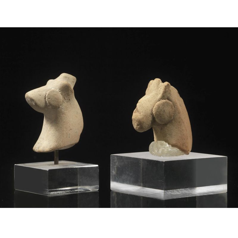 



TESTINE DI ANIMALI  - Auction ANTIQUITIES - Pandolfini Casa d'Aste