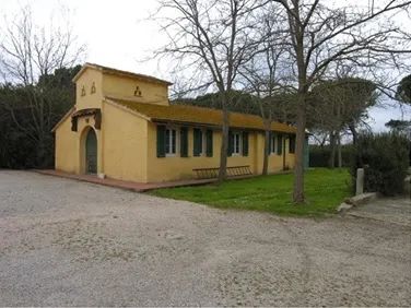 FABRIZIA SCASSELLATI SFORZOLINI   - Auction AIRC - Pandolfini Casa d'Aste