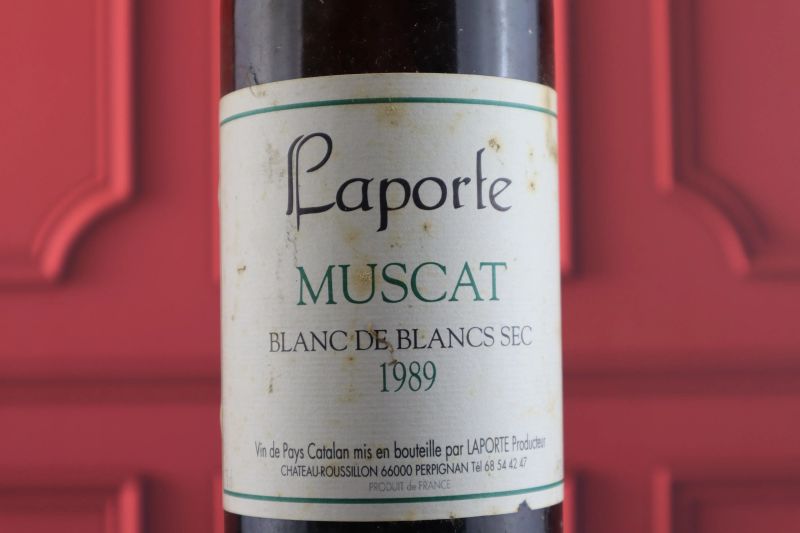 



Laporte Muscat Blanc de Blanc Sec Chateau Roussillon 1989  - Asta Smartwine 2.0 | Spring Classics - Pandolfini Casa d'Aste