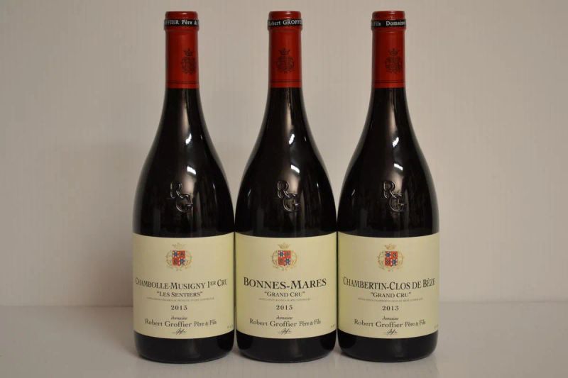 Selezione Domaine Robert Groffier Pere et Fils 2013  - Auction Finest and Rarest Wines  - Pandolfini Casa d'Aste