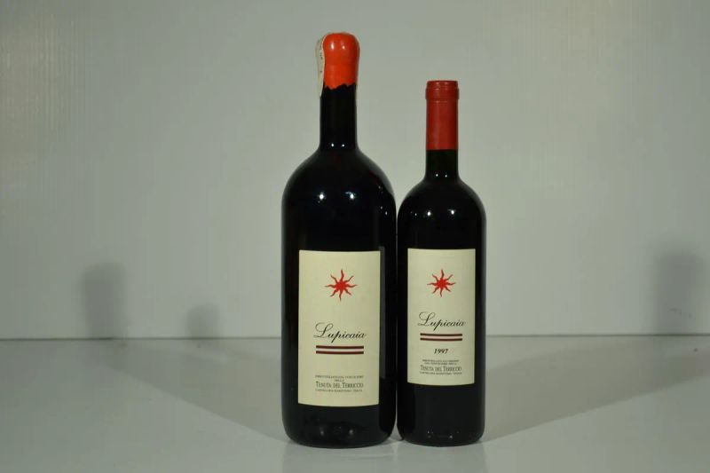 Lupicaia Castello del Terriccio  - Auction Finest and Rarest Wines - Pandolfini Casa d'Aste