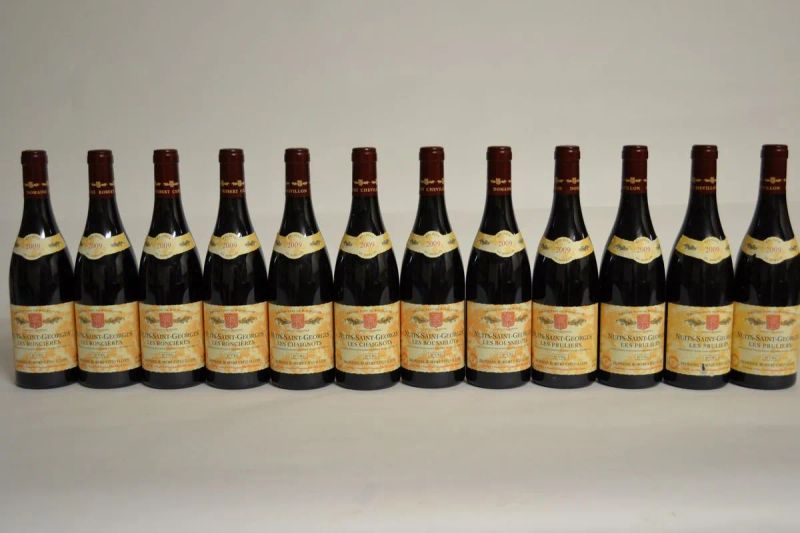 Selezione Nuits-Saint-Georges Premier Cru Domaine Chevillon 2009  - Auction Rare Wines - Pandolfini Casa d'Aste