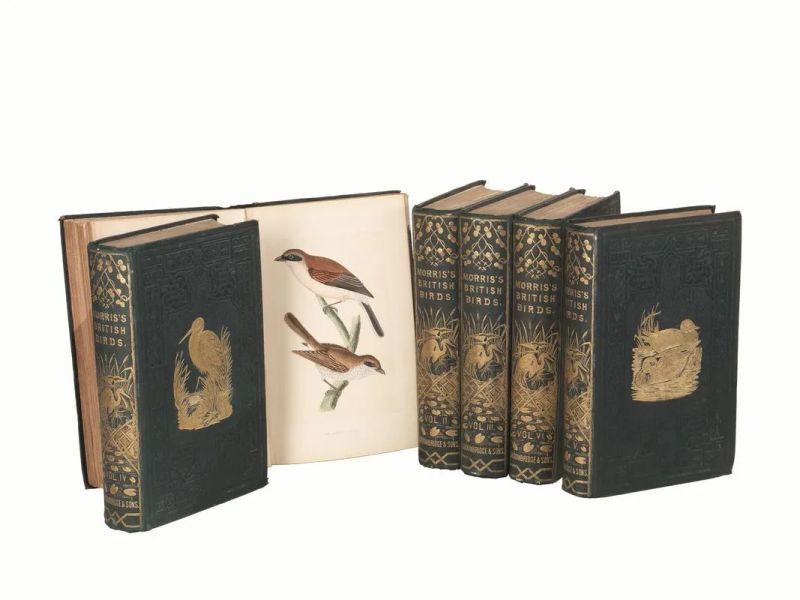 (Ornitologia &ndash; Illustrati 800) MORRIS, Francis Orpen (1810-1893). A History of British Birds [&#8230;]. Vol. I [-IV]. London, Groombridge and Sons, 1864-1865.  - Auction Old and Modern Master Prints and Drawings-Books - Pandolfini Casa d'Aste